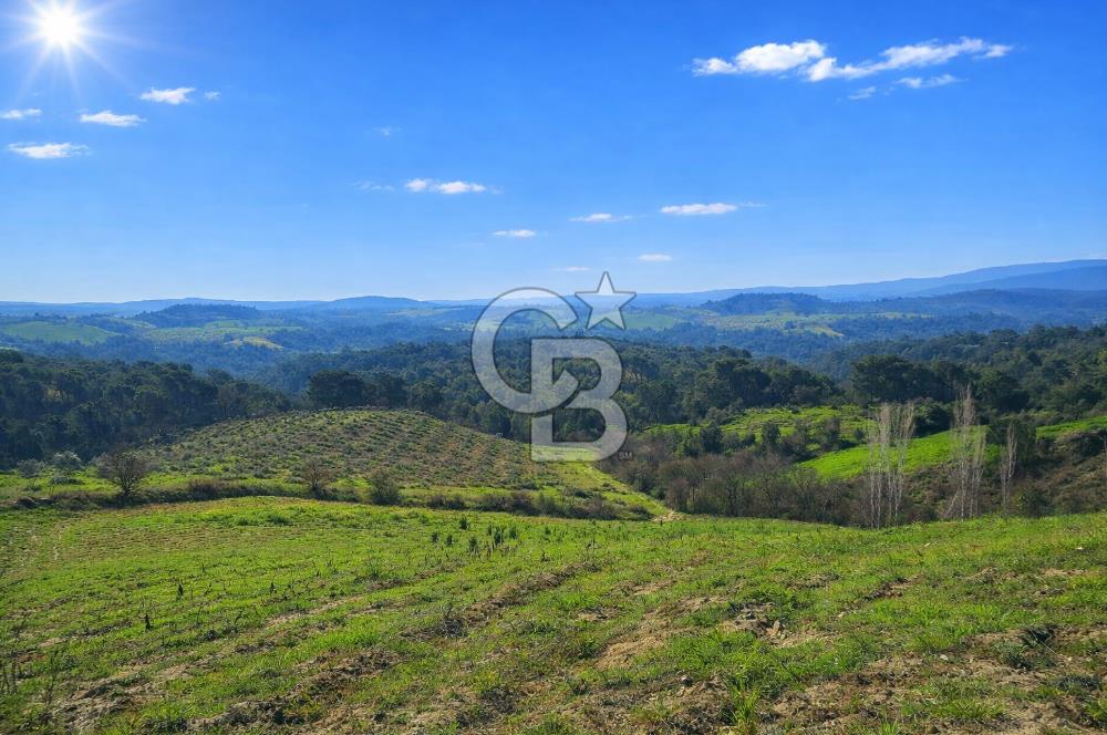 Manisa Gördes Merkeztepe 29 Dönüm Tek Tapu Satılık Tarla