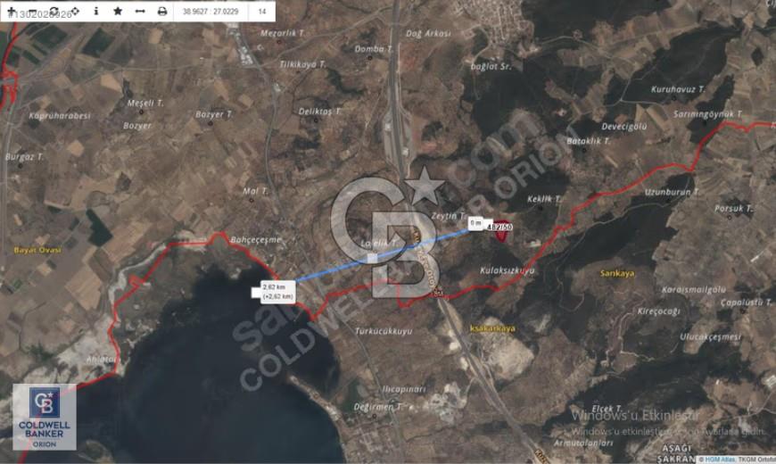BERGAMA ZEYTİNDAĞDA SATILIK ZEYTİNLİK