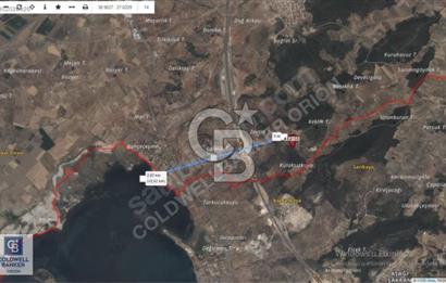 BERGAMA ZEYTİNDAĞDA SATILIK ZEYTİNLİK