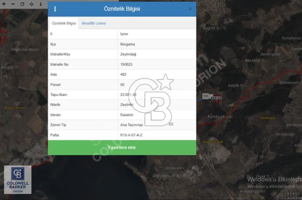 BERGAMA ZEYTİNDAĞDA SATILIK ZEYTİNLİK