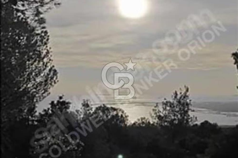 BERGAMA ZEYTİNDAĞDA SATILIK ZEYTİNLİK