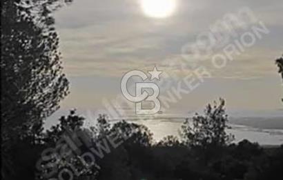 BERGAMA ZEYTİNDAĞDA SATILIK ZEYTİNLİK