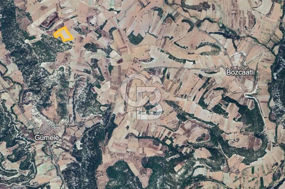 MANISA DEMİRCİ GÜMELE 24 DÖNÜM TARLA