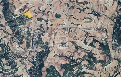 MANISA DEMİRCİ GÜMELE 24 DÖNÜM TARLA