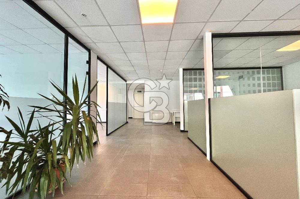 Maltepe Omega Deniz Plaza'da Prestijli Kiralık Ofis