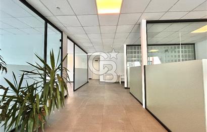 Maltepe Omega Deniz Plaza'da Prestijli Kiralık Ofis