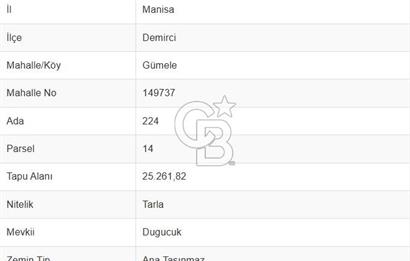 MANISA DEMİRCİ GÜMELE 24 DÖNÜM TARLA