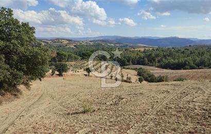 Manisa Gördes Merkeztepe 29 Dönüm Tek Tapu Satılık Tarla