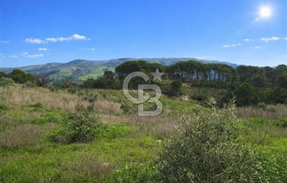 Manisa Gördes Merkeztepe 29 Dönüm Tek Tapu Satılık Tarla