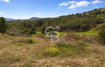 Manisa Gördes Merkeztepe 29 Dönüm Tek Tapu Satılık Tarla