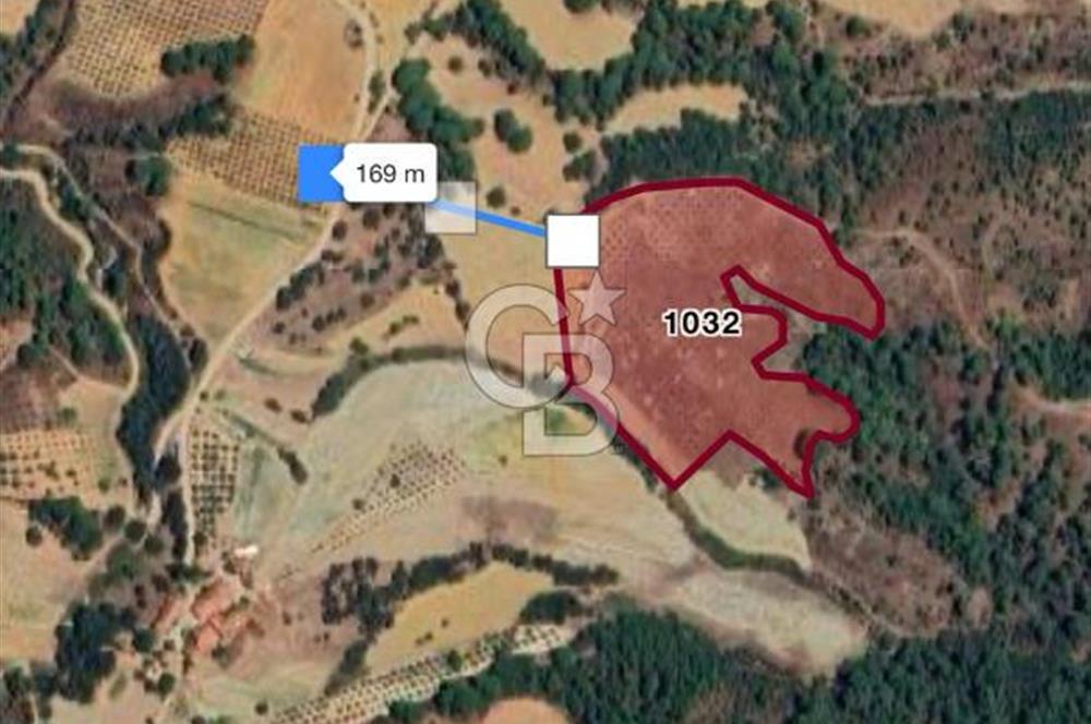 Manisa Gördes Merkeztepe 29 Dönüm Tek Tapu Satılık Tarla