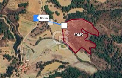 Manisa Gördes Merkeztepe 29 Dönüm Tek Tapu Satılık Tarla