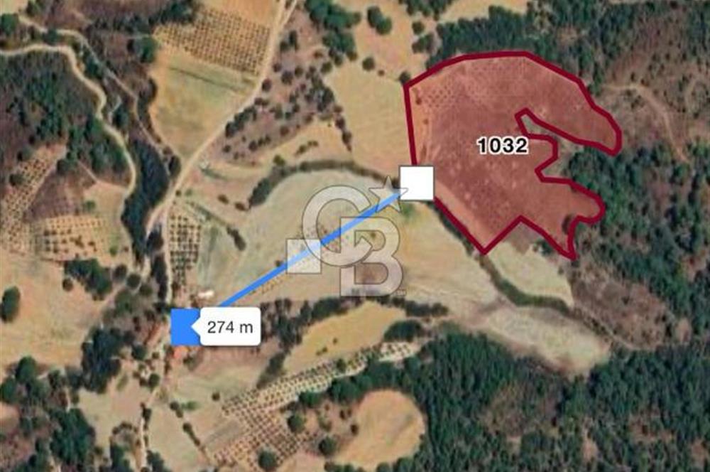 Manisa Gördes Merkeztepe 29 Dönüm Tek Tapu Satılık Tarla