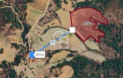 Manisa Gördes Merkeztepe 29 Dönüm Tek Tapu Satılık Tarla