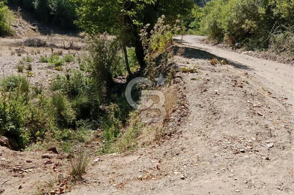 Ödemiş Horzum 1700M2 Resmi Yola Cephe Köye Yakın Satılık Bahçe