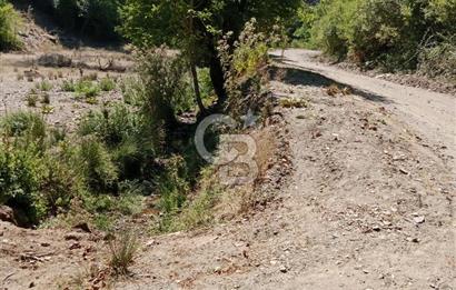 Ödemiş Horzum 1700M2 Resmi Yola Cephe Köye Yakın Satılık Bahçe