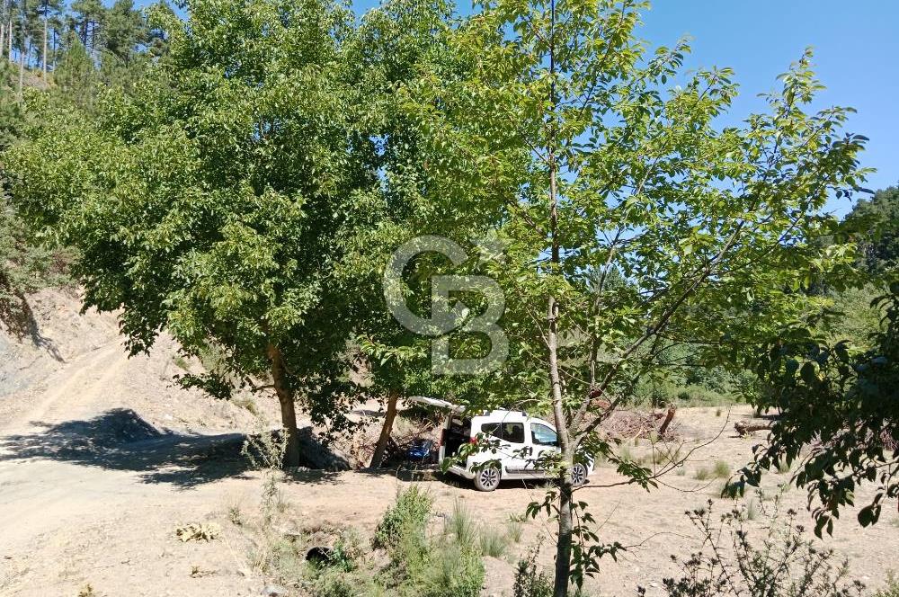 Ödemiş Horzum 1700M2 Resmi Yola Cephe Köye Yakın Satılık Bahçe