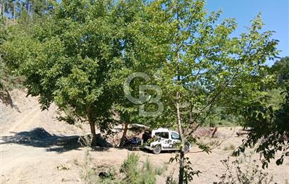 Ödemiş Horzum 1700M2 Resmi Yola Cephe Köye Yakın Satılık Bahçe