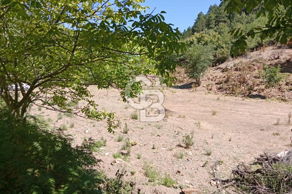 Ödemiş Horzum 1700M2 Resmi Yola Cephe Köye Yakın Satılık Bahçe