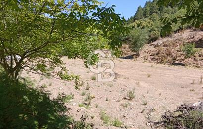 Ödemiş Horzum 1700M2 Resmi Yola Cephe Köye Yakın Satılık Bahçe