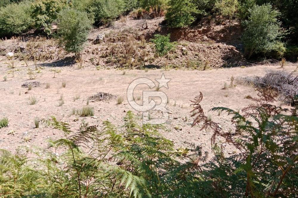 Ödemiş Horzum 1700M2 Resmi Yola Cephe Köye Yakın Satılık Bahçe