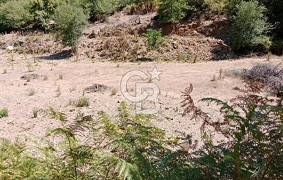 Ödemiş Horzum 1700M2 Resmi Yola Cephe Köye Yakın Satılık Bahçe