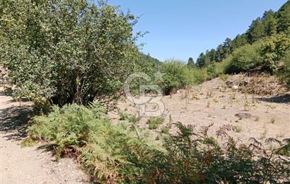 Ödemiş Horzum 1700M2 Resmi Yola Cephe Köye Yakın Satılık Bahçe