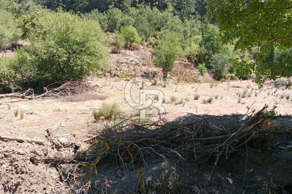 Ödemiş Horzum 1700M2 Resmi Yola Cephe Köye Yakın Satılık Bahçe