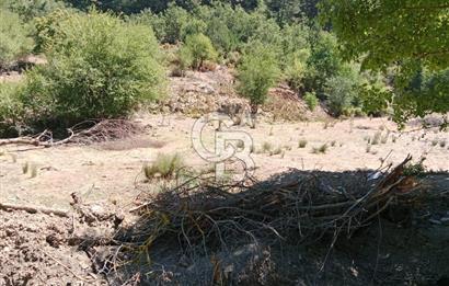 Ödemiş Horzum 1700M2 Resmi Yola Cephe Köye Yakın Satılık Bahçe