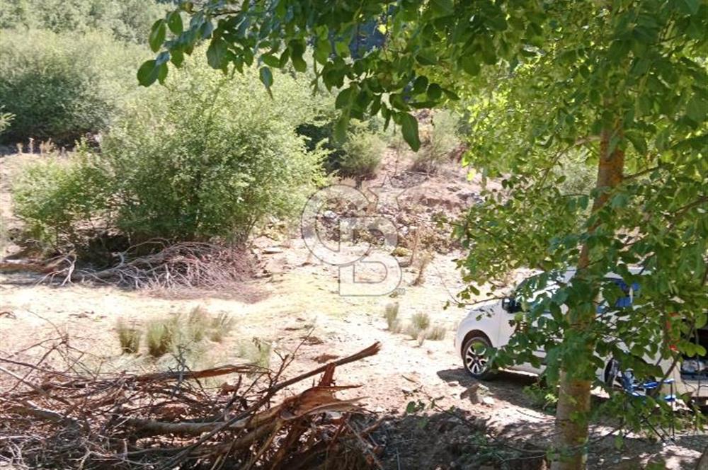 Ödemiş Horzum 1700M2 Resmi Yola Cephe Köye Yakın Satılık Bahçe