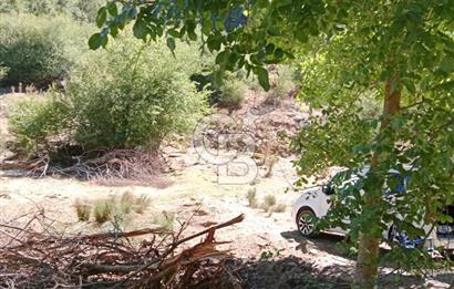 Ödemiş Horzum 1700M2 Resmi Yola Cephe Köye Yakın Satılık Bahçe