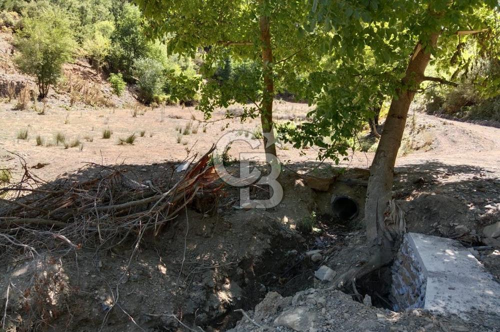 Ödemiş Horzum 1700M2 Resmi Yola Cephe Köye Yakın Satılık Bahçe