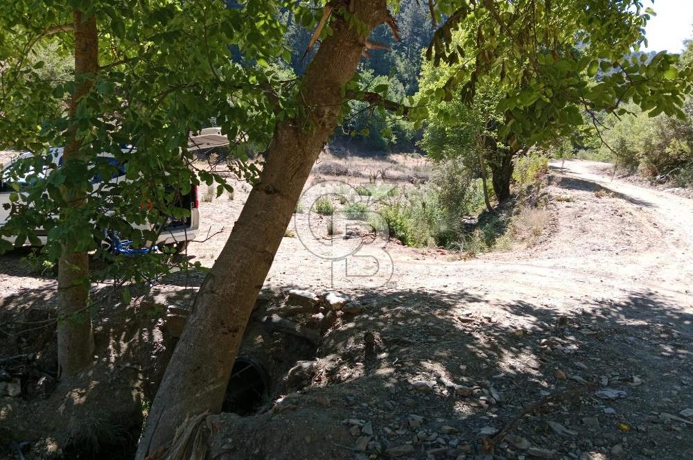 Ödemiş Horzum 1700M2 Resmi Yola Cephe Köye Yakın Satılık Bahçe