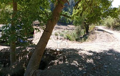 Ödemiş Horzum 1700M2 Resmi Yola Cephe Köye Yakın Satılık Bahçe