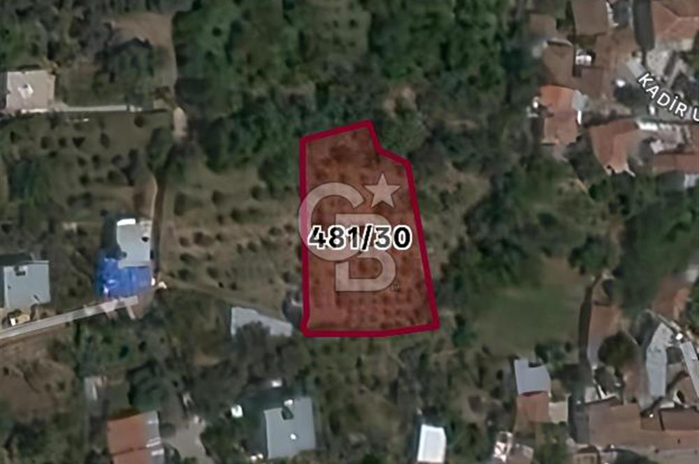 KEMALPAŞA BAĞYURDU'DA SATILIK KAYISI BAHÇESİ