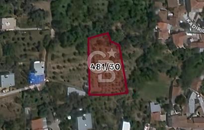 KEMALPAŞA BAĞYURDU'DA SATILIK KAYISI BAHÇESİ