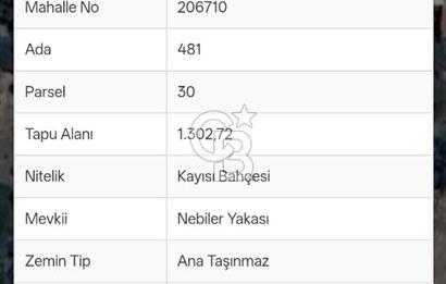 KEMALPAŞA BAĞYURDU'DA SATILIK KAYISI BAHÇESİ