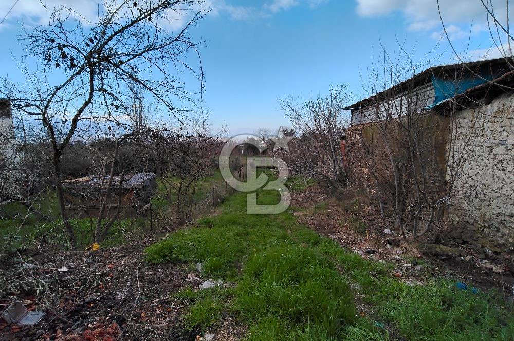 KEMALPAŞA BAĞYURDU'DA SATILIK KAYISI BAHÇESİ