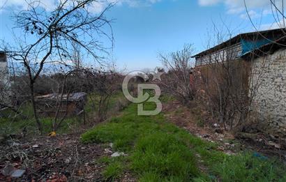 KEMALPAŞA BAĞYURDU'DA SATILIK KAYISI BAHÇESİ