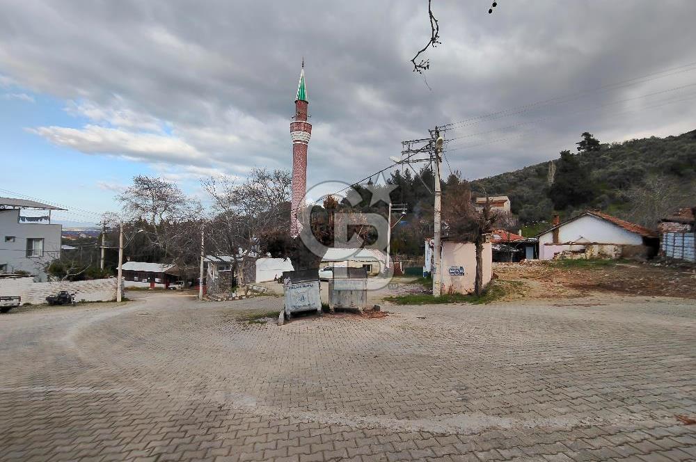KEMALPAŞA BAĞYURDU'DA SATILIK KAYISI BAHÇESİ