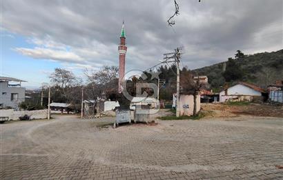 KEMALPAŞA BAĞYURDU'DA SATILIK KAYISI BAHÇESİ