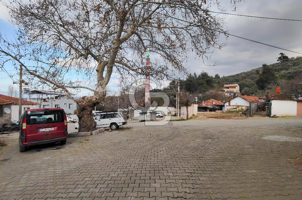 KEMALPAŞA BAĞYURDU'DA SATILIK KAYISI BAHÇESİ