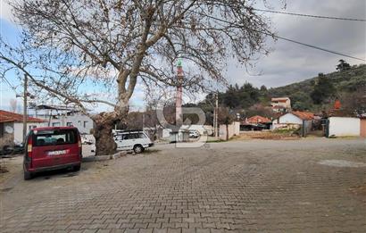 KEMALPAŞA BAĞYURDU'DA SATILIK KAYISI BAHÇESİ