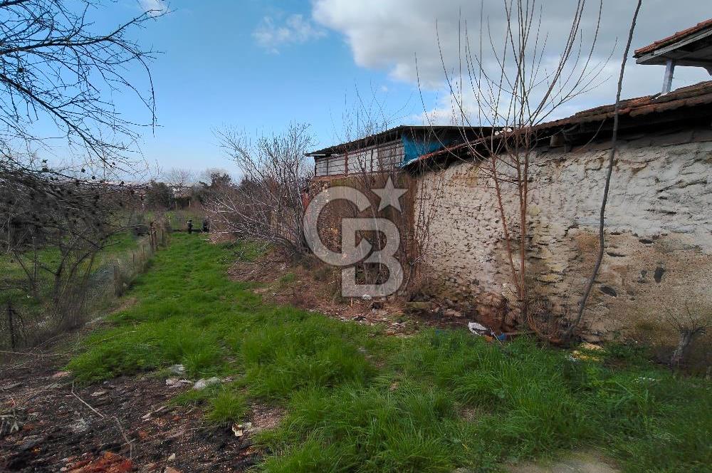 KEMALPAŞA BAĞYURDU'DA SATILIK KAYISI BAHÇESİ