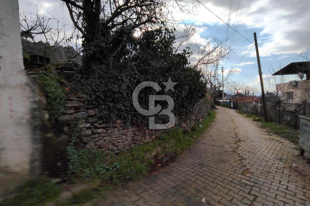 KEMALPAŞA BAĞYURDU'DA SATILIK KAYISI BAHÇESİ