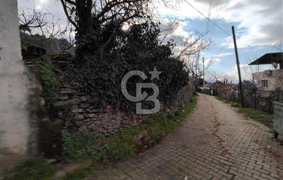 KEMALPAŞA BAĞYURDU'DA SATILIK KAYISI BAHÇESİ