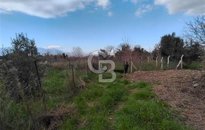 KEMALPAŞA BAĞYURDU'DA SATILIK KAYISI BAHÇESİ