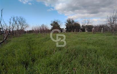 KEMALPAŞA BAĞYURDU'DA SATILIK KAYISI BAHÇESİ