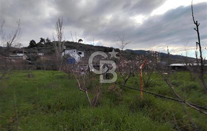 KEMALPAŞA BAĞYURDU'DA SATILIK KAYISI BAHÇESİ