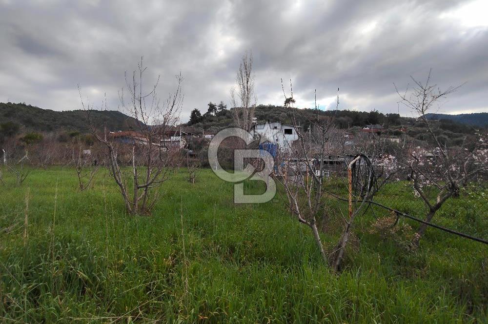 KEMALPAŞA BAĞYURDU'DA SATILIK KAYISI BAHÇESİ